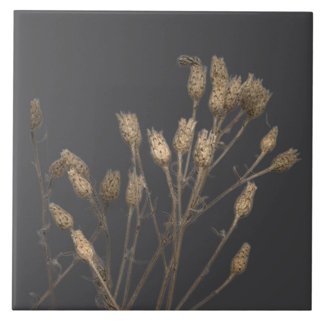 Tesouros têxteis do inverno em Azulejo cerâmico -  (Frente)