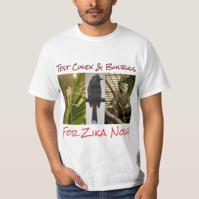 Teste a Camisa Culex & Bulbuls por RoseWrites (Frente)