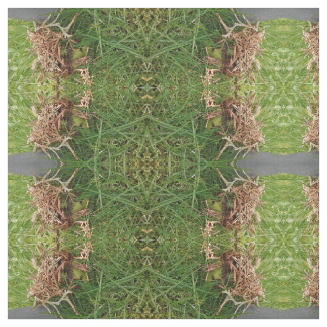 teste padrão da grama dos olhos verdes, tecido (Modelo)