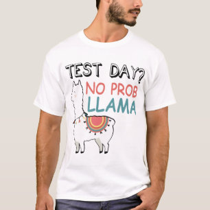 teste t-shirt do lama do prob do dia