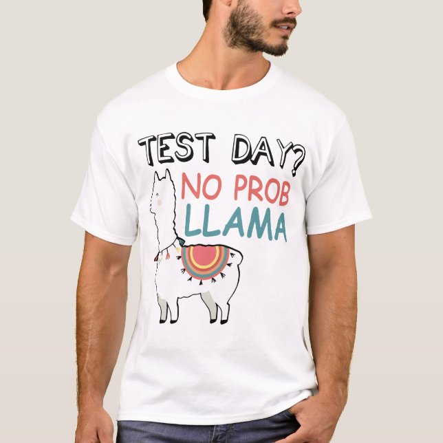 teste t-shirt do lama do prob do dia (Frente)