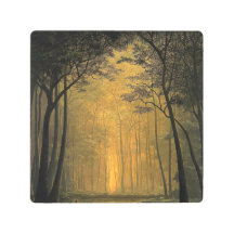 testgo tomas sanchez