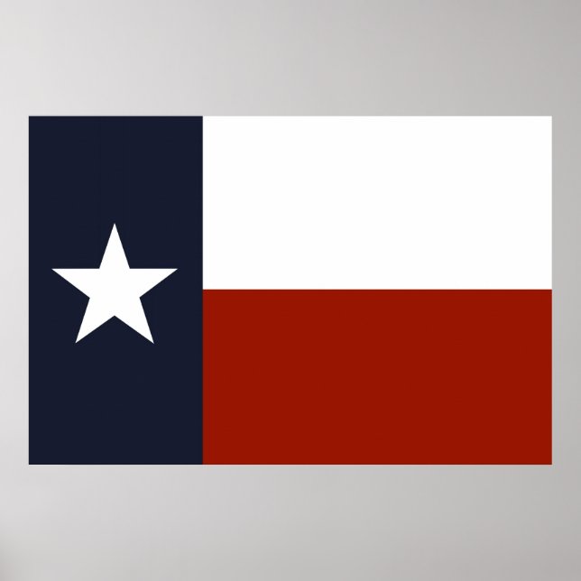 Texas Flag Poster (Frente)