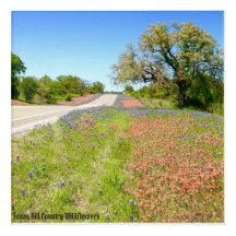 Texas Hill County Wildflower Acrylic Art Impressão