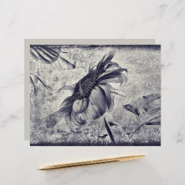 Textura Antiquada Branca, Negra, De Girassol