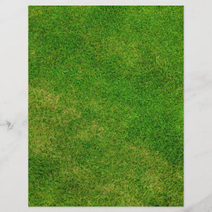 Textura de Grass Verde