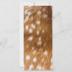 Textura de pele de veado