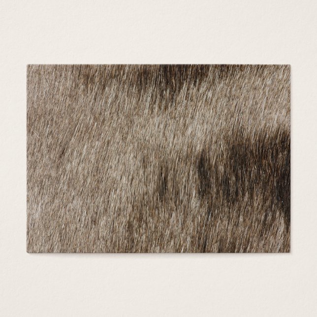 Textura de peles de animais (Frente)