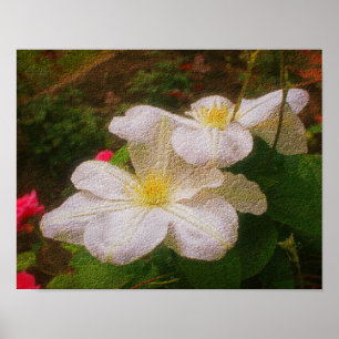 Textura White Clematis Pair Floral Art Impressão