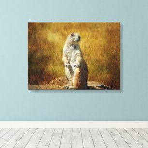 Texturizado Prairie Dog Canvas