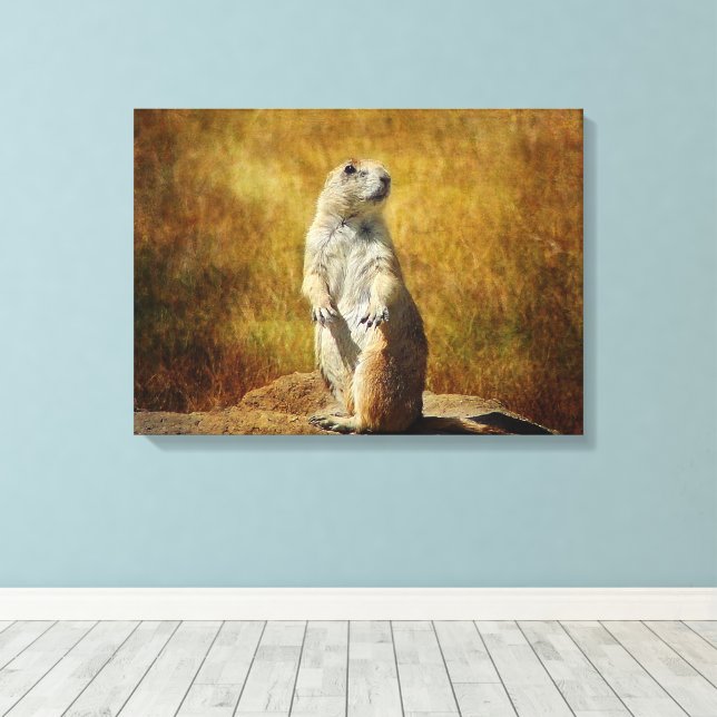 Texturizado Prairie Dog Canvas (Insitu(piso de madeira))