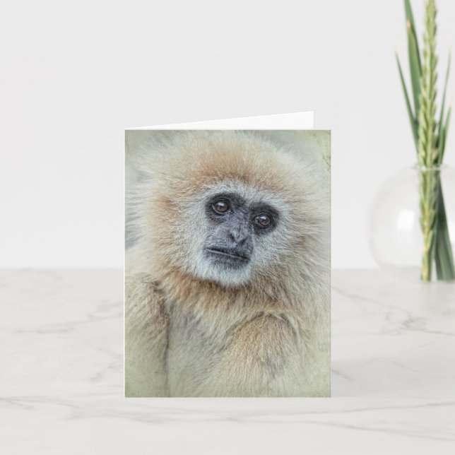 Thankyou cartão (Frente)