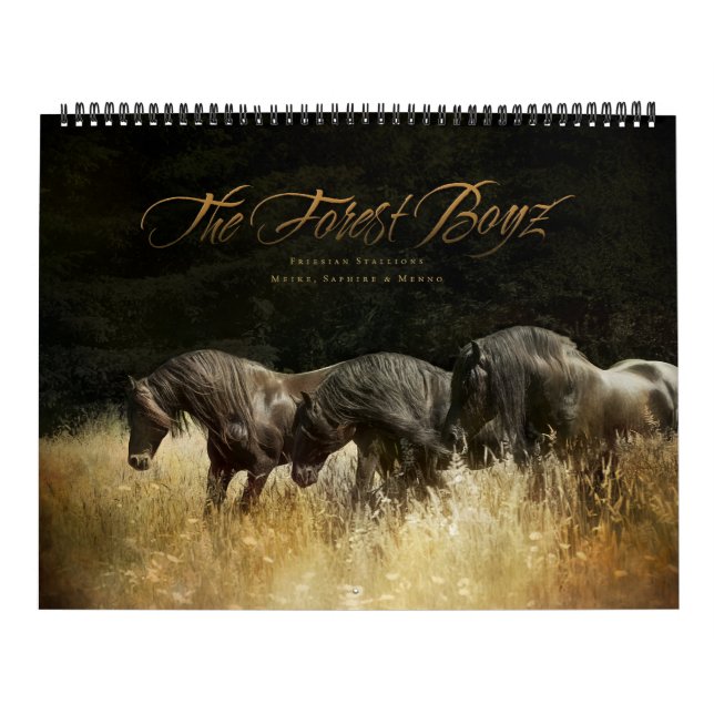 The Forest Boyz - Calendário da Terra Celestial (Capa)