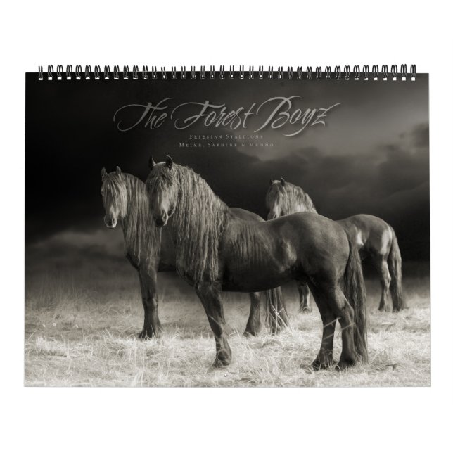 The Forest Boyz - Calendário Incrível (Capa)