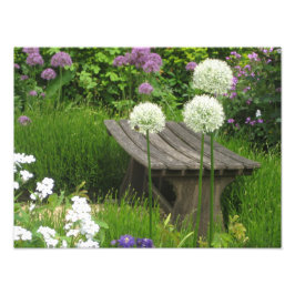 The Little Bench - Impressão de Fotografia do Koda