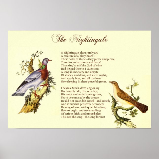 "The Nightingale" por Wordsworth - Art Impressão (Frente)