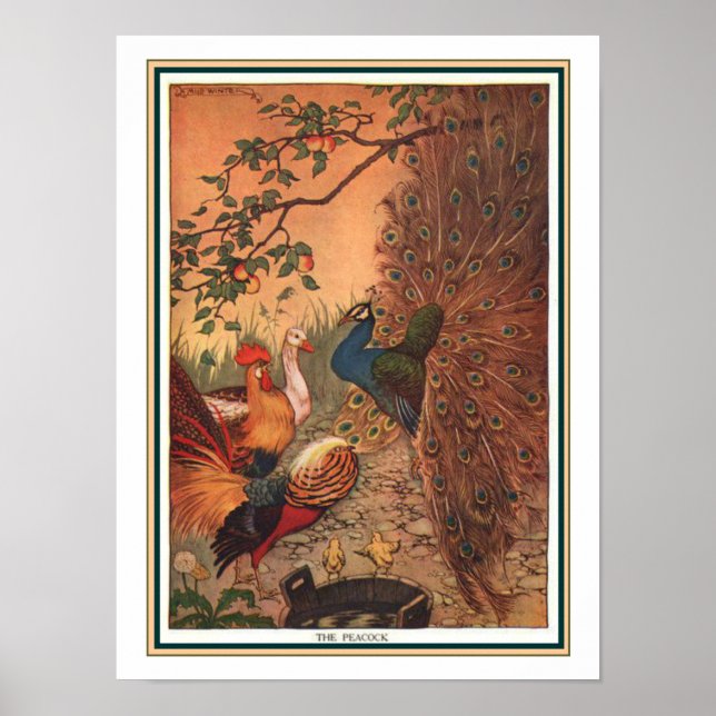 "The Peacock" Aesop Fable Impressão ca. 1919 (Frente)
