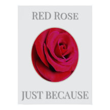 THE RED Rose Poster