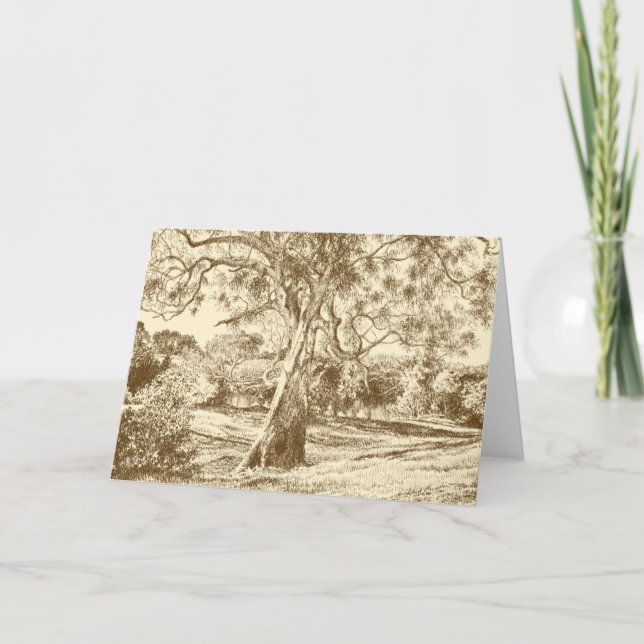 The Winnie the Pooh Tree - Cartões de agradeciment (Frente)