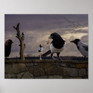 The woman and the birds poster