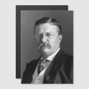 Theodore Roosevelt Teddy Presidente Republicano