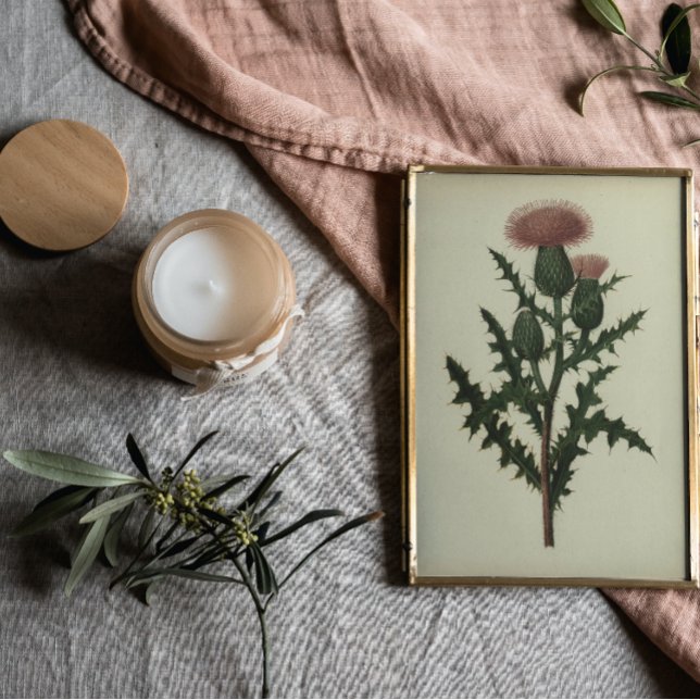 Thiste de Flores e Ferns da América Poster (Criador carregado)