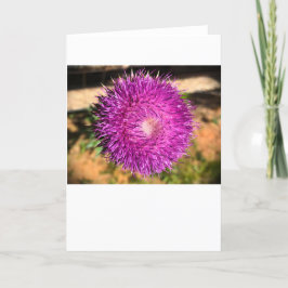 Thistle, Cartão