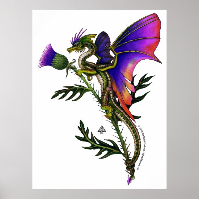 Thistlebairn Impressão (Frente)