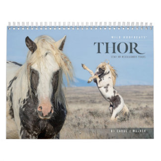 Thor, Calendário de Cavalos Selvagens