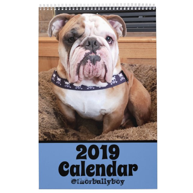 Thor o calendário do buldogue 2019 (Capa)
