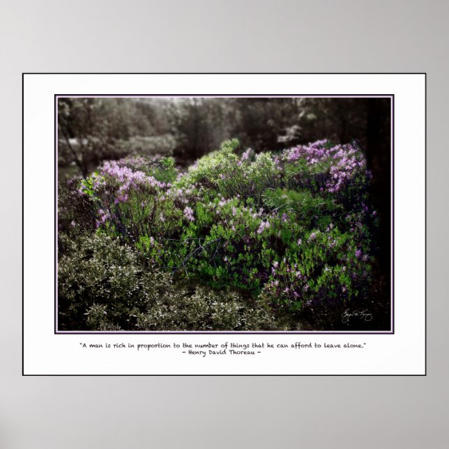 Thoreau Cote Poster - Ovelha Laurel (Frente)