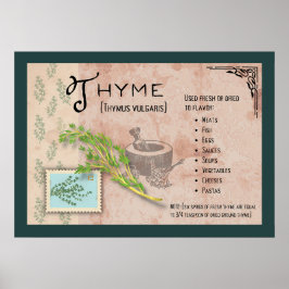 Thyme Herb Poster