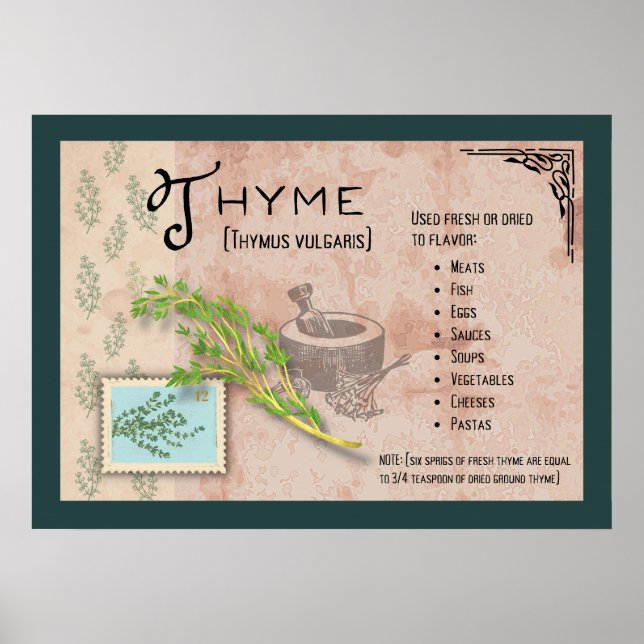 Thyme Herb Poster (Frente)