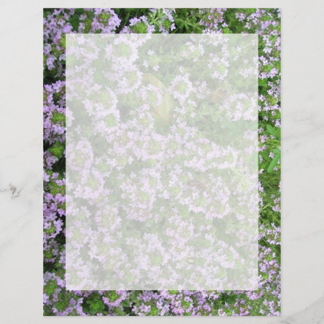 Thyme Roxo (Frente)