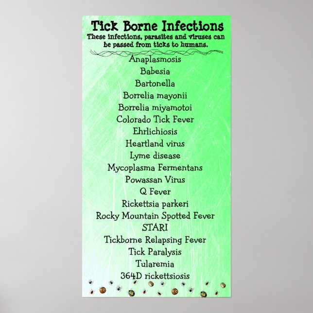 Tick Borne Infection list Lyme Awarness Poster (Frente)
