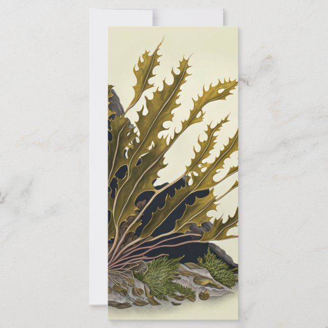 Tidal Fronds (Frente)