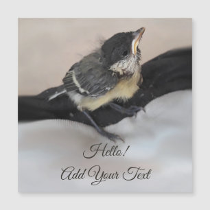 Tidi, meu Pássaro, o Parus Major Magnetic Card