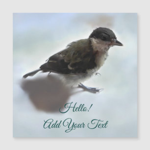 Tidi, meu Pássaro, o Parus Major Magnetic Card