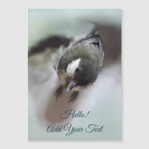 Tidi, meu Pássaro, o Parus Major Magnetic Card
