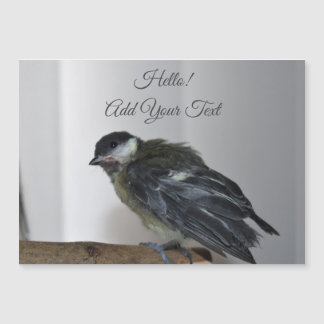 Tidi, meu Pássaro, o Parus Major Magnetic Card