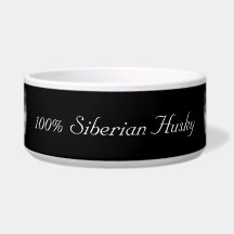 100% Siberian Husky Huskybild