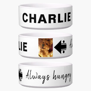 Tigela Adicionar foto e nome ao cão branco preto faminto