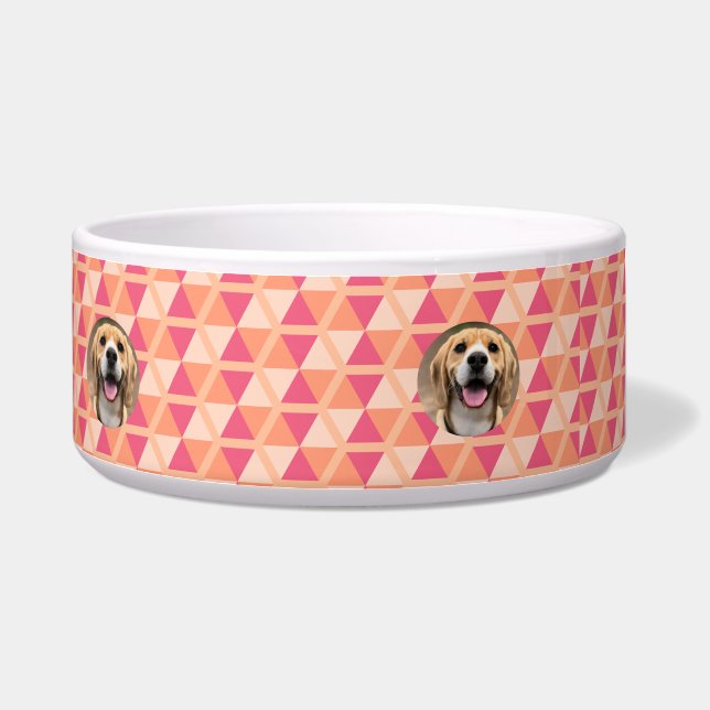 Tigela Alimento Moderno para Cachorro Nova Mãe de Cachorr (Direita)
