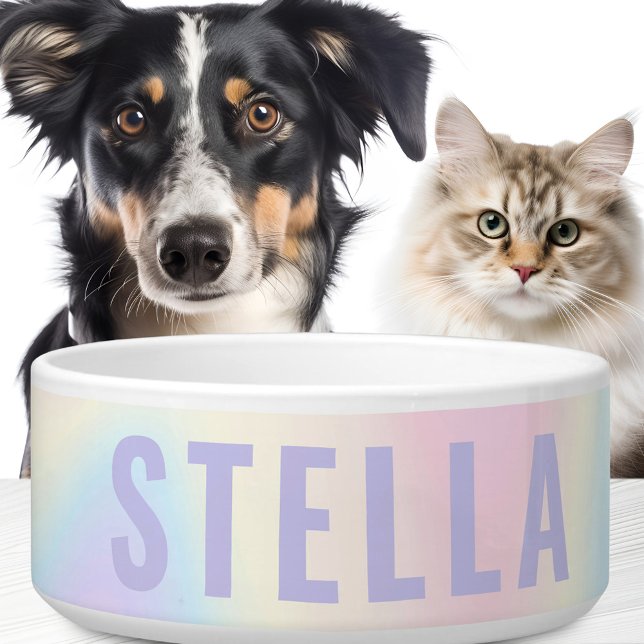 Tigela Arco-íris pastel suave, moda, mínimo moderno (Criador carregado)