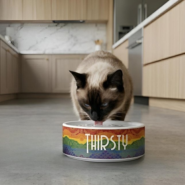 Tigela Art Deco Pride Flag | Rainbow Ceramic Pet Bowl (Lifestyle Shot)