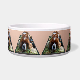 Tigela Arte Popout do Cavalier Spaniel,