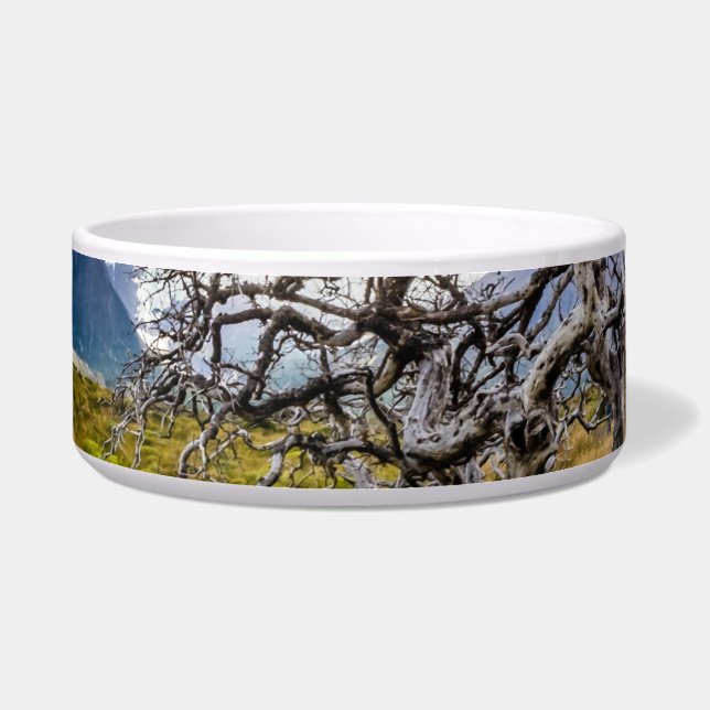 Tigela Árvore queimada, Torres del Paine, Chile (Frente)