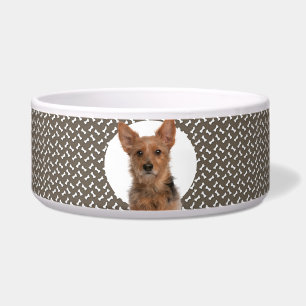 Tigela Australiano Terrier Personalize Photo & Name Dog