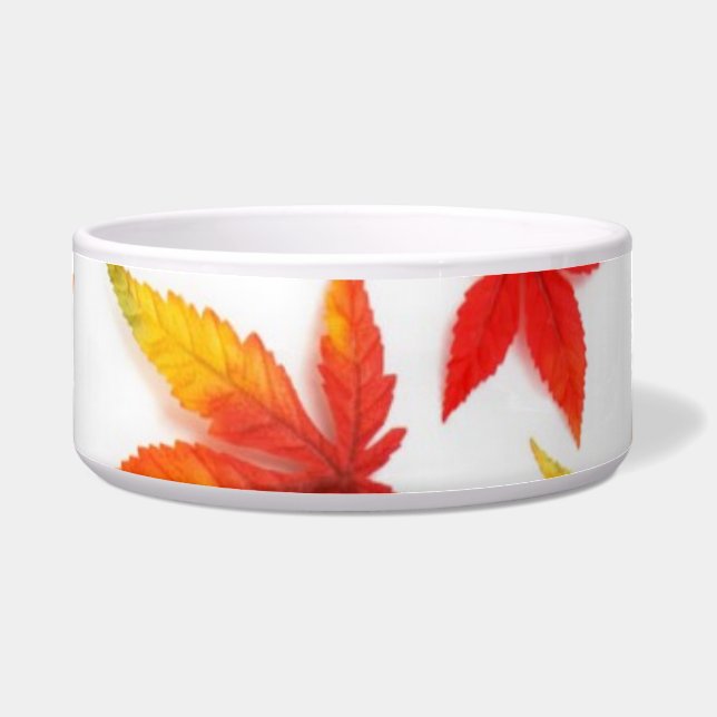 Tigela Autumn Deixa Pet Bowl (Frente)