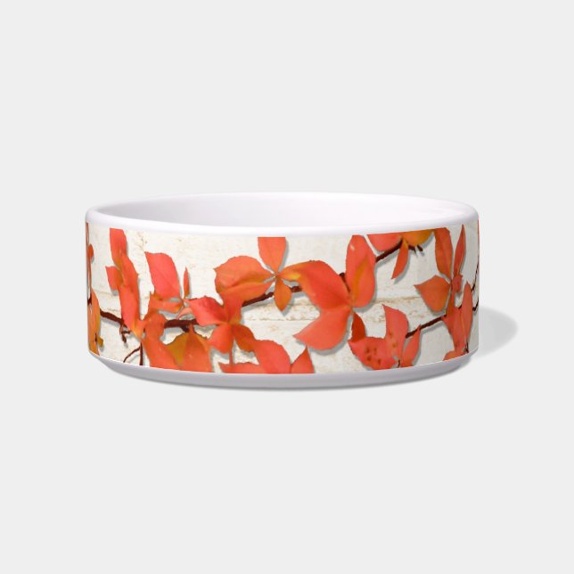 Tigela Autumn Vine (Frente)
